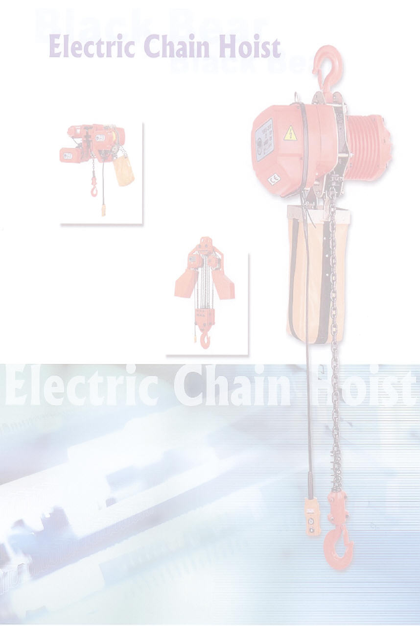 ech-standard-000.jpg